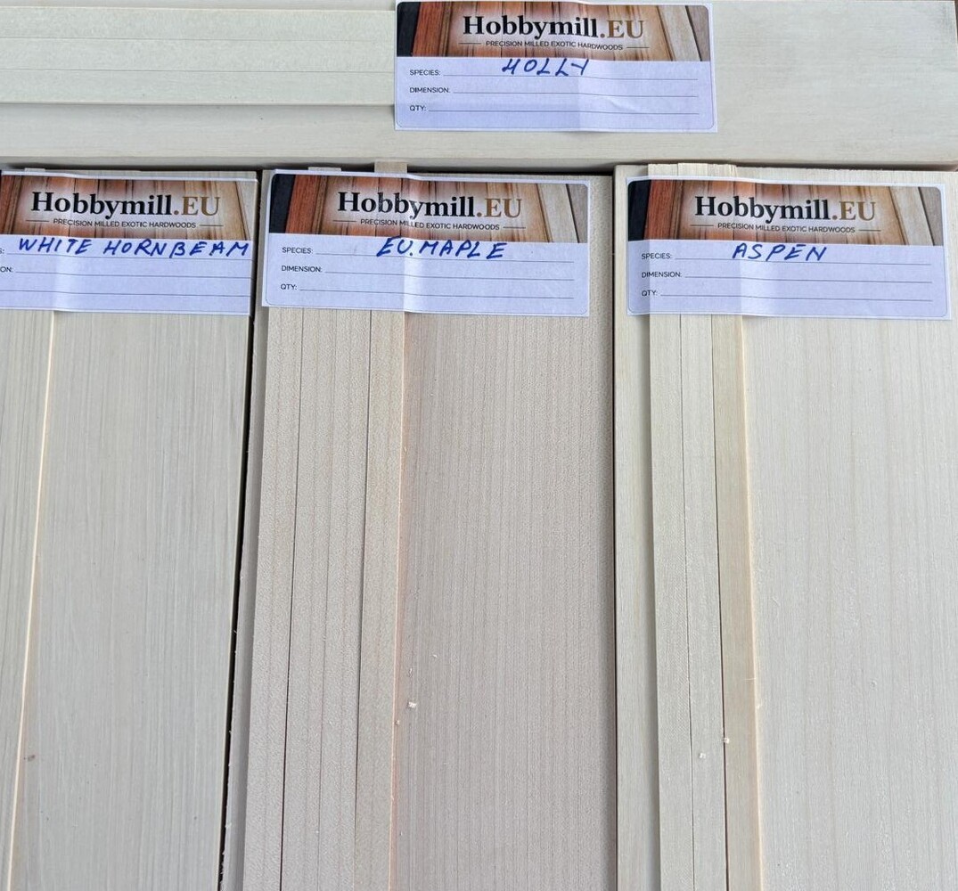 American Holly, White Hornbeam, Aspen and European Maple comparison 2