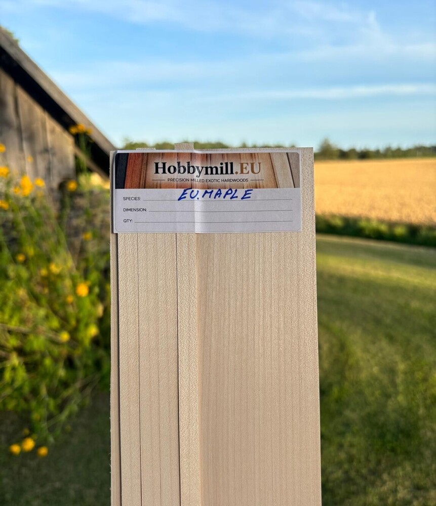European Maple wood 1